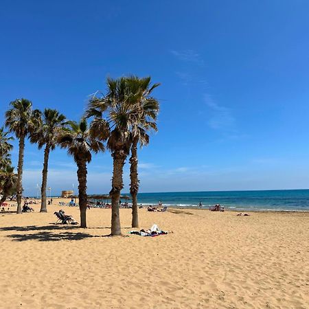 Cipres 4 Apartamento En Urbanizacion Con Piscina Torrevieja Exteriör bild