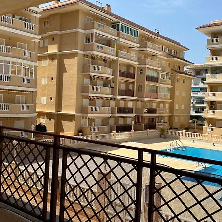 Cipres 4 Apartamento En Urbanizacion Con Piscina Torrevieja Exteriör bild