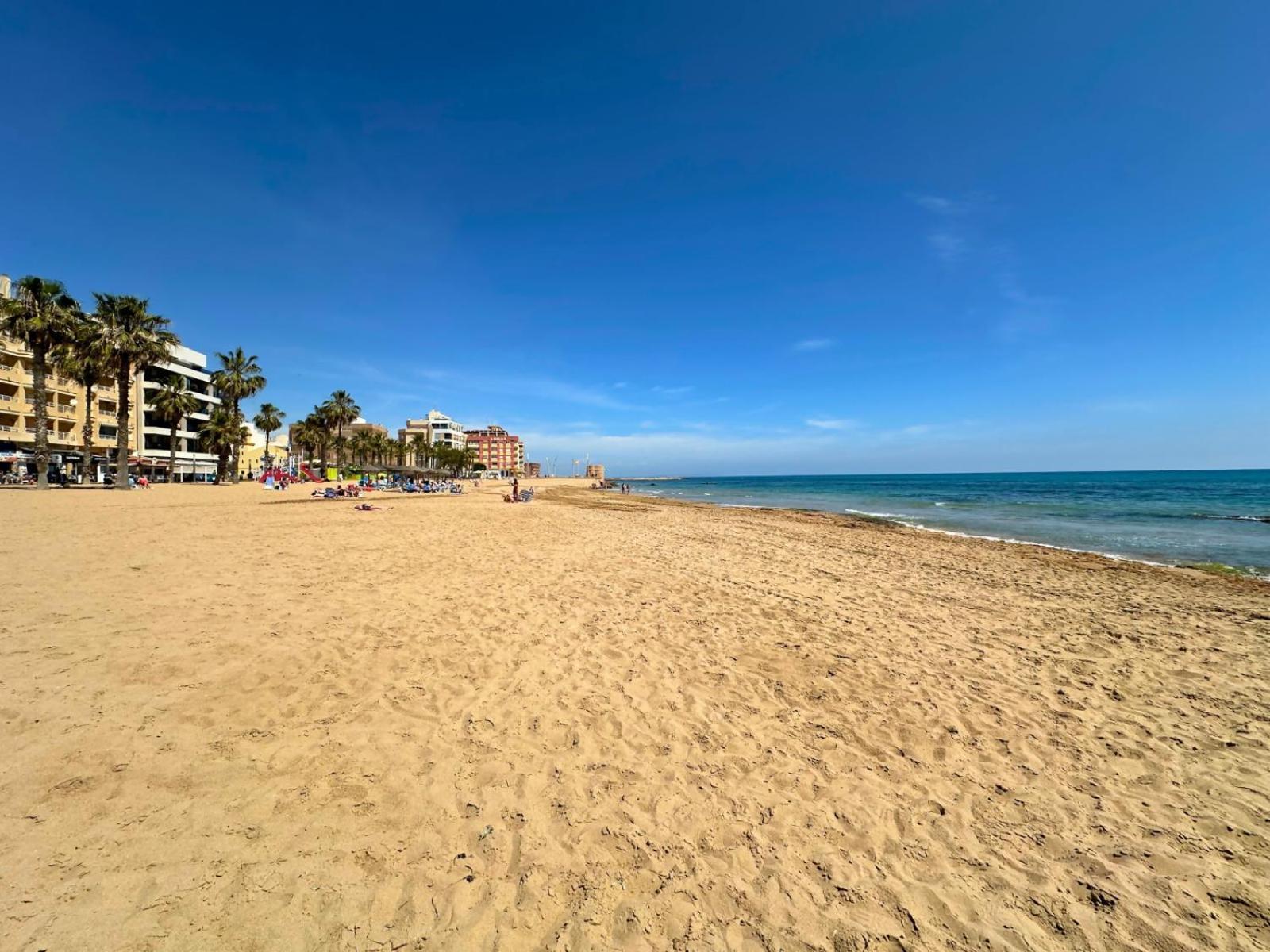 Cipres 4 Apartamento En Urbanizacion Con Piscina Torrevieja Exteriör bild